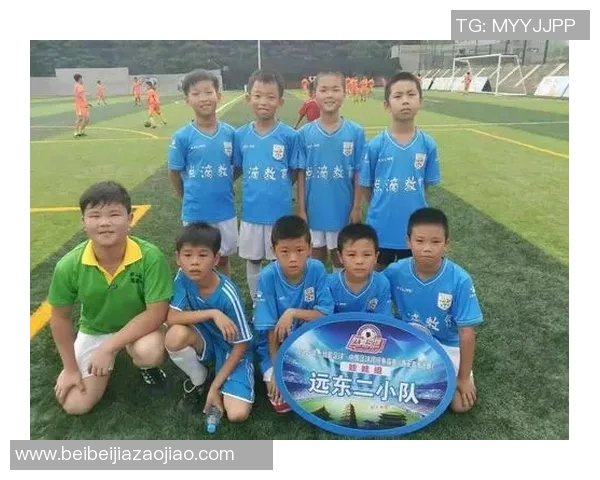 校园足球明星评选活动申报表及相关要求说明